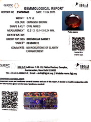 6.77/CT Natural Govt. Lab Certified Ceylonese Gomed-(1221)